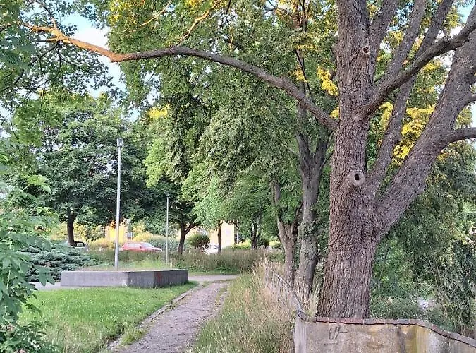 Stadtpalais Marche-suite Maximal 2 Personen Und 1 Kleinkind Apartment